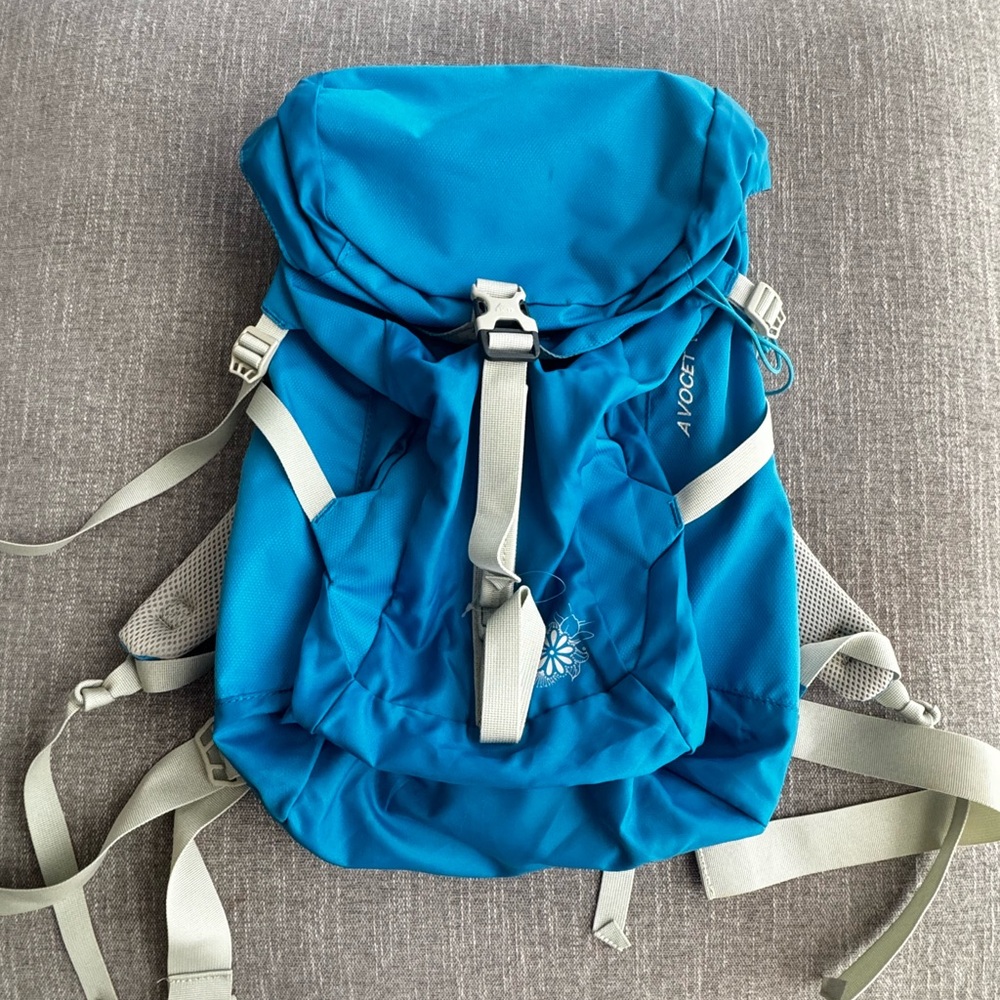 Avoce Teal Adventure Backpack for Men